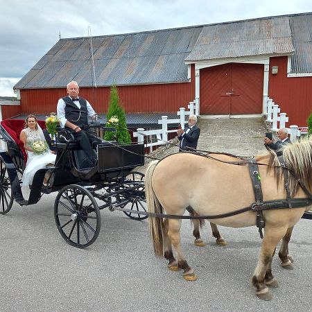 Hotell Eikerapen Gjestegard Aseral Fossdal Esterno foto