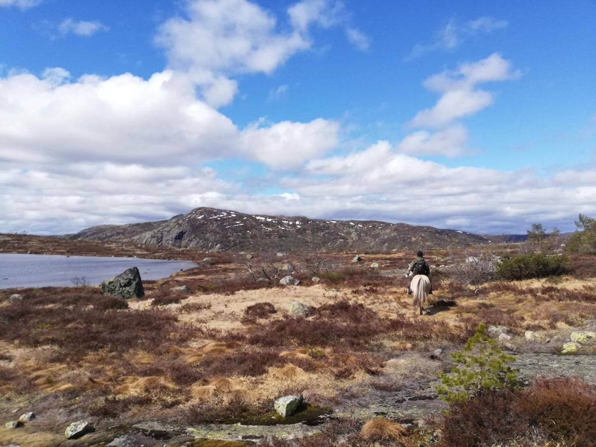 Hotell Eikerapen Gjestegard Aseral Fossdal Esterno foto
