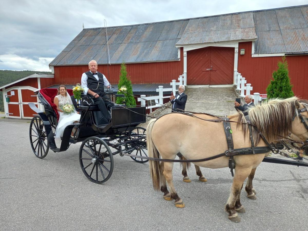 Hotell Eikerapen Gjestegard Aseral Fossdal Esterno foto
